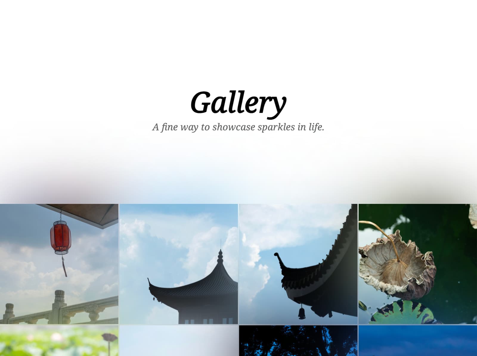 Screenshot of Next Mastodon Gallery